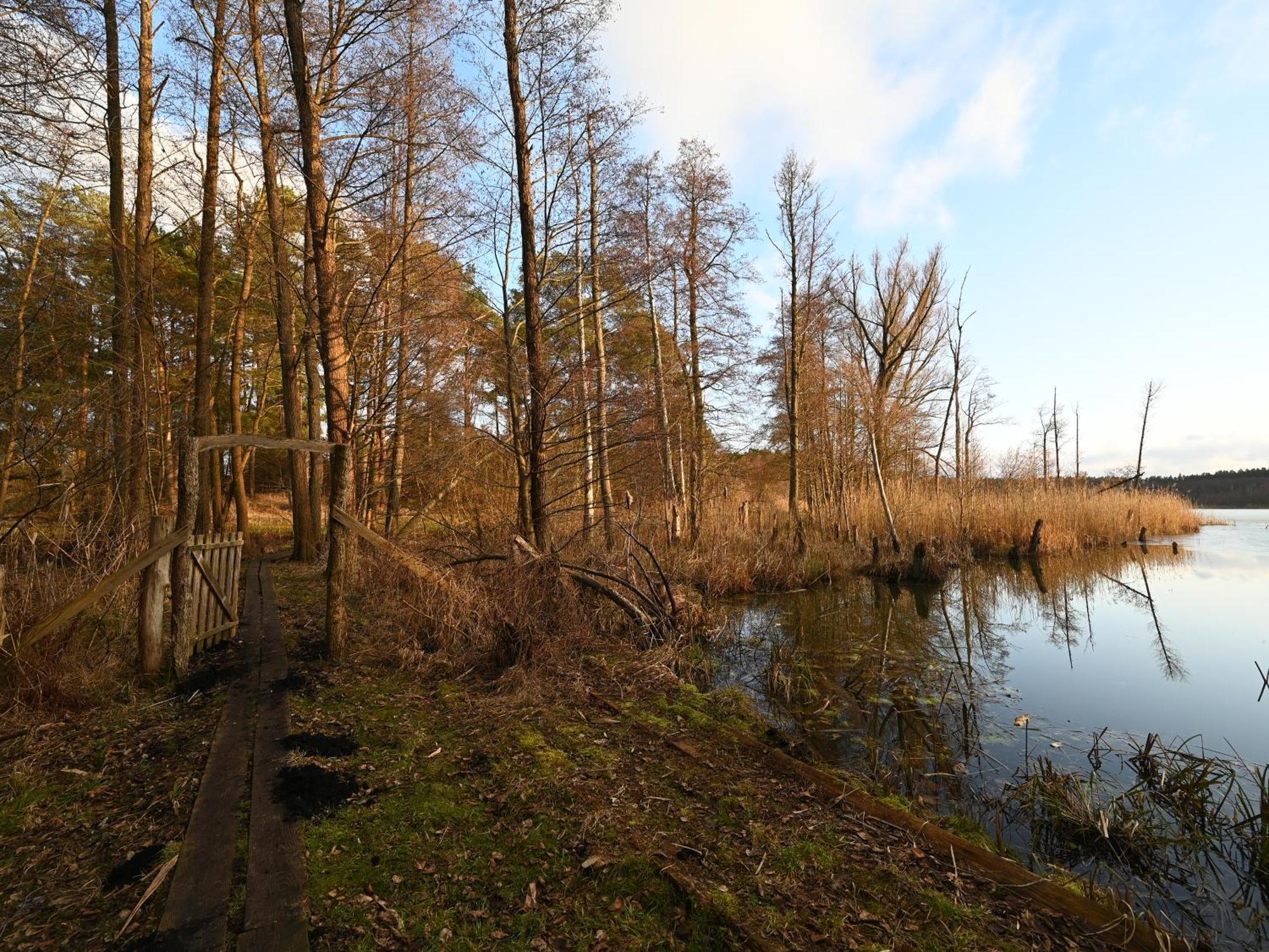 Ferienhaus-Park Brennickenswerder ลีเคน ภายนอก รูปภาพ